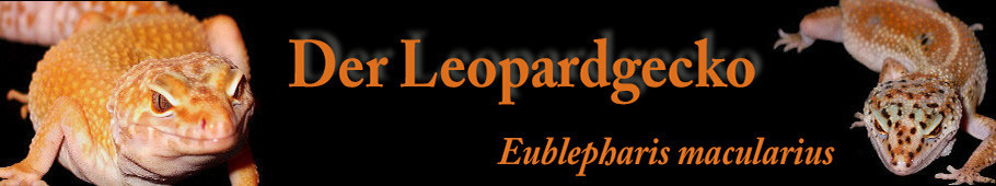 http://www.der-leopardgecko.net/